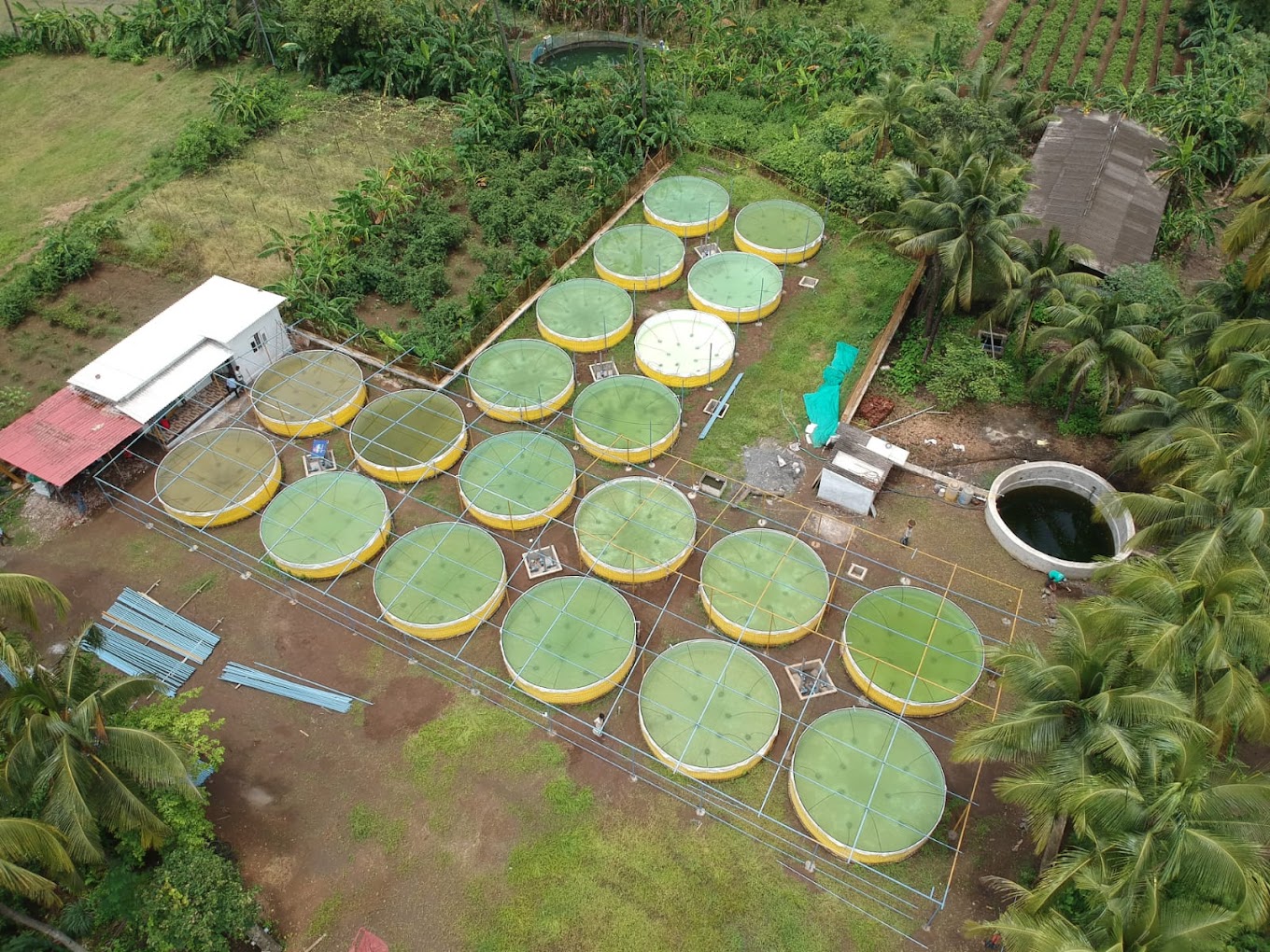 Biofloc Fish Farm Vasai