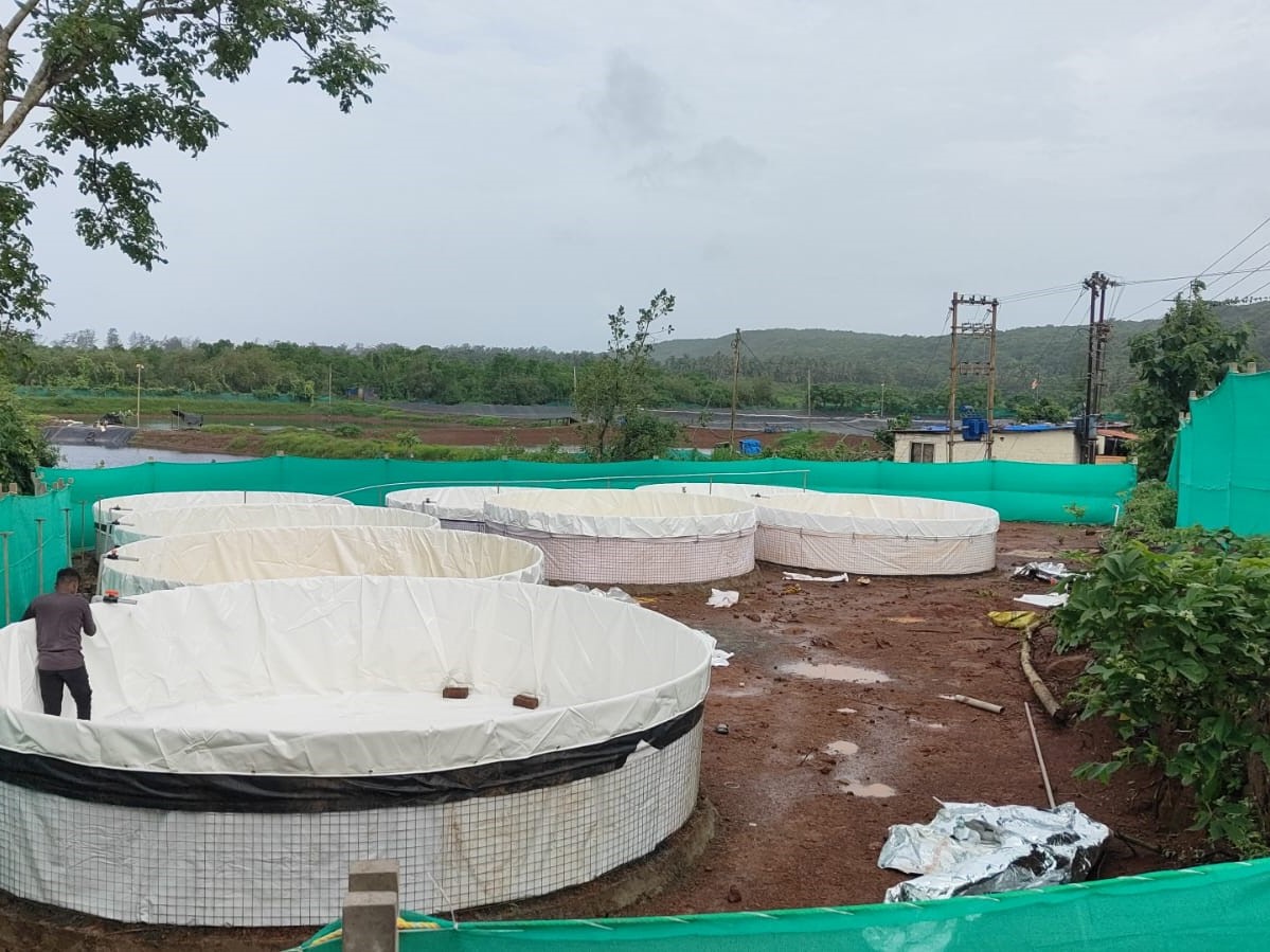 Ratnagiri Biofloc  Farm built  by  Asha  Biofloc