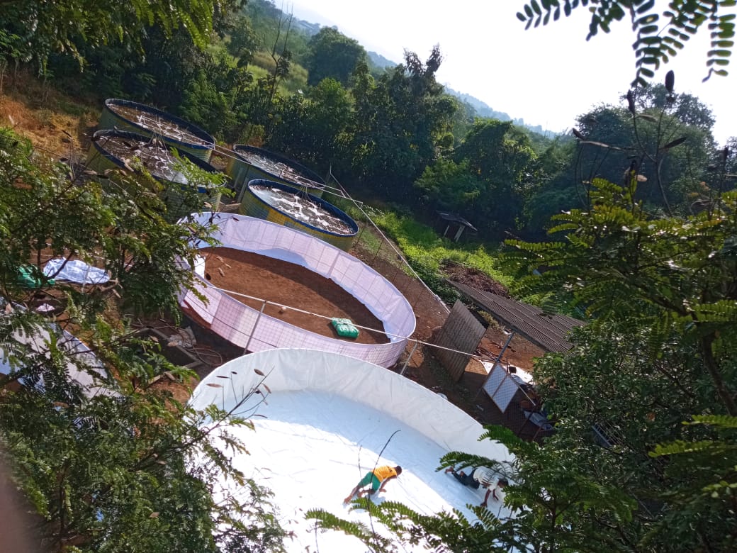Asha Biofloc Farming 3