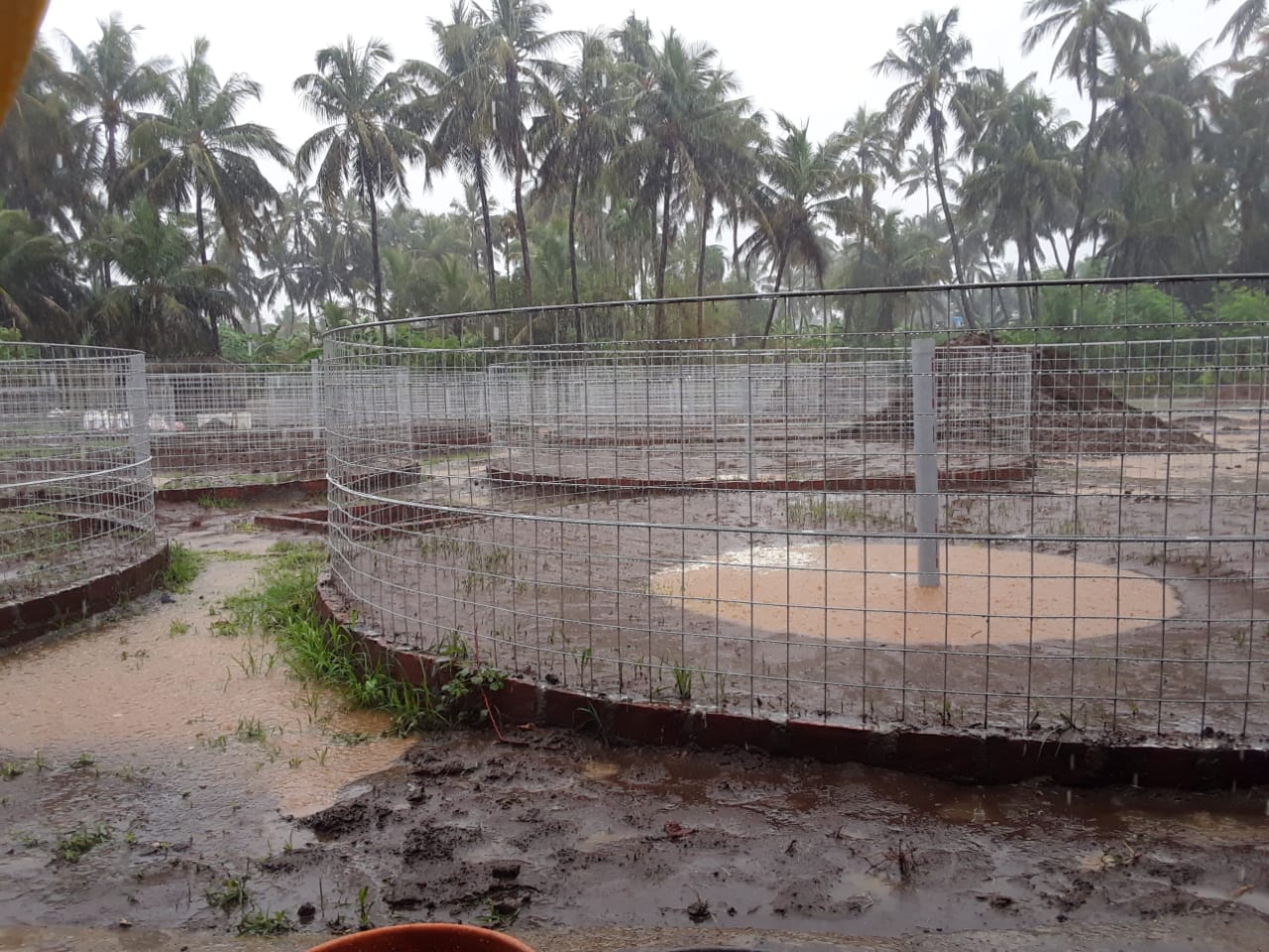 Biofloc Fish Farm Vasai
